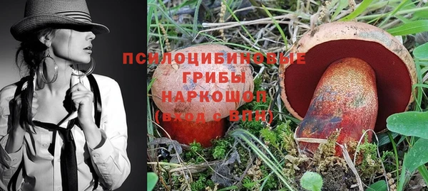 МДПВ Инта