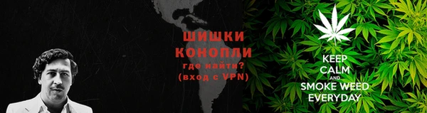 МДПВ Инта