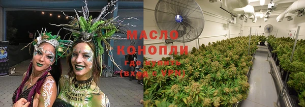 МДПВ Инта