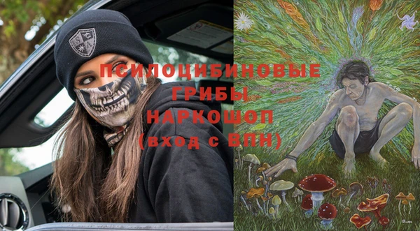 МДПВ Инта