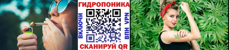 Бошки марихуана SATIVA & INDICA  Купить  Ивдель 